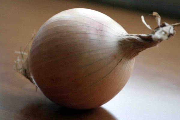 Кракен зеркало onion