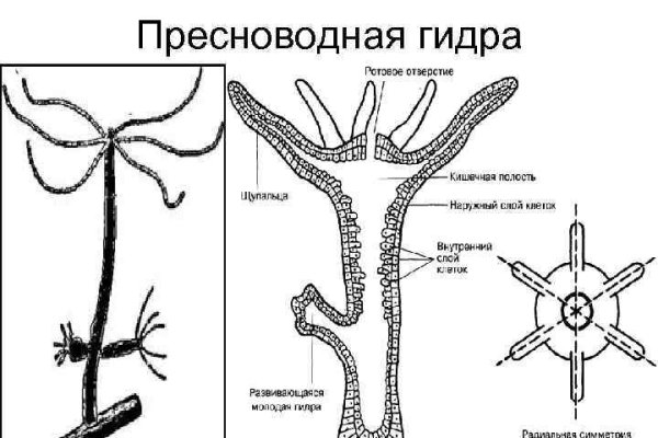 Кракен 2krn